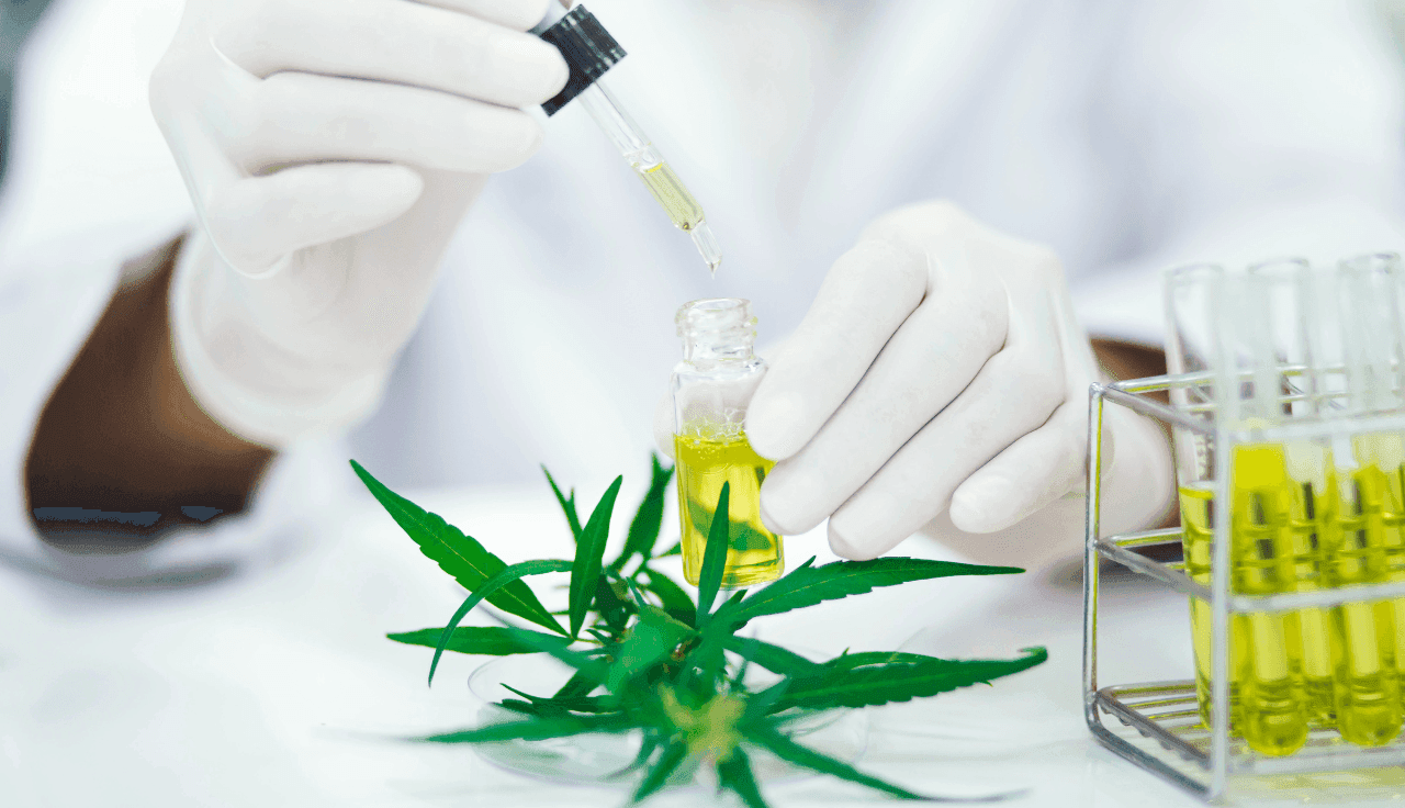 Cannabis Extrakt Labor Hand mit Pipette